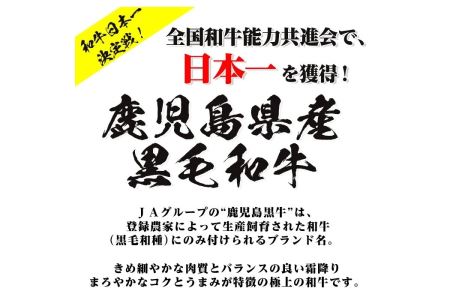 A12 E301 5等級鹿児島黒牛サーロインステーキ（2枚）・すきやきセット 国産 九州産 牛肉 黒牛 黒毛和牛 和牛 ステーキ サーロイン リブロース スライス しゃぶしゃぶ すき焼き【湧水町JAあ