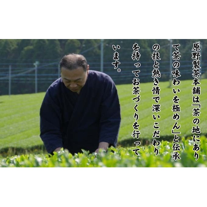 煎茶 八女茶 5袋セット 100g×5袋 お茶 飲み物 飲料 お茶出し 日本茶 茶葉 お茶っ葉 爽やかな香り 甘み ほどよい渋味 バランス 飽きのこない味わい 鮮やかな色 普段用 お客様用 _イメージ