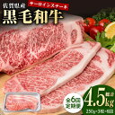 【ふるさと納税】【6回定期便】佐賀県産 黒毛和牛 贅沢 サーロイン ステーキ 250g×3枚（計750g）【株式会社いろは精肉店】お肉 肉 牛肉 冷凍 和牛 [IAG091]