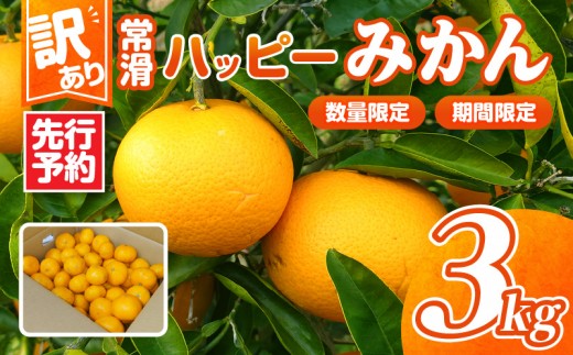 【先行予約】【訳あり】常滑ハッピーみかん 3kg｜常滑ハッピーみかん 果物 みかん フルーツ ミカン 訳あり 数量限定 期間限定 愛知県 常滑市 知多半島