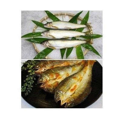 ふるさと納税 徳島市 美味追求 すだち鮎(冷凍鮎 約12尾)・一夜干し(冷凍 5枚)セット【AT002】