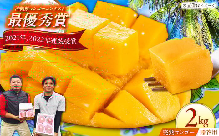 
            【贈答用】仲村農園の完熟アップルマンゴー2kg マンゴー 沖縄 果物 フルーツ ギフト 沖縄市 / 仲村農園 [BCCU001]
          