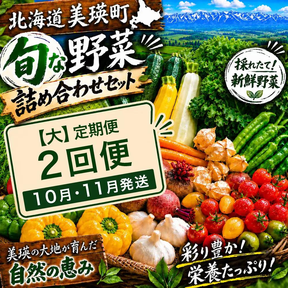 季節の野菜セット【大】定期便 2回便 10月 11月発送 旬野菜 詰め合わせ あらいふぁーむ
