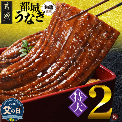 【父の日】宮崎県育ちの【特大】うなぎ蒲焼2尾440g以上≪山椒・たれ付≫≪6月18日～21日お届け≫_18-M301-FG