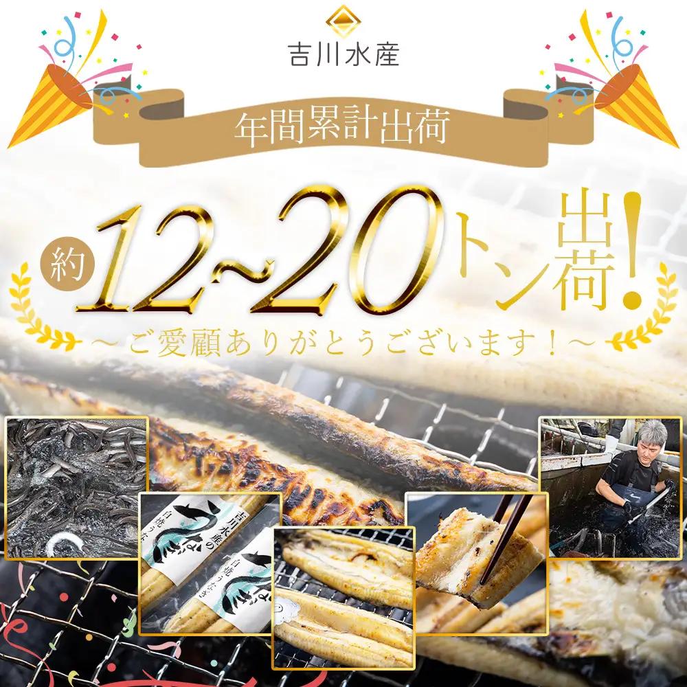 【10日程度で発送】贈答用 高知県産鰻の白焼き120～130ｇ2尾 刻み鰻50ｇ×3袋 蒲焼きのタレ5袋 天日塩20ｇ yw-0130