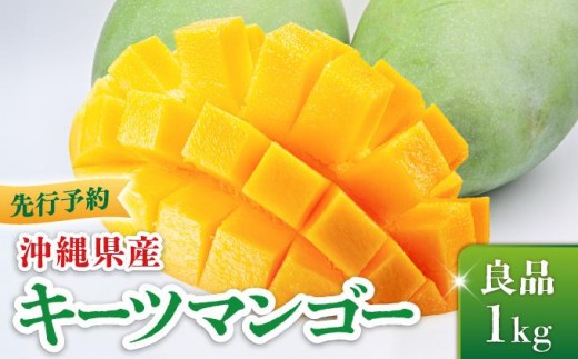＜先行予約・数量限定＞キーツマンゴー 良品（1kg）KM007   I  キーツマンゴー きーつまんごー マンゴー まんごー トロピカルフルーツ フルーツ 贈答用 良品 1000g 1kg   沖縄県 南城市 ふるさと納税 光陽マンゴー園