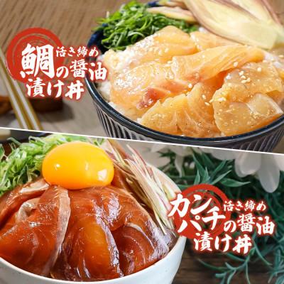 ふるさと納税 土佐市 訳あり海鮮漬け丼(タイ6P・カンパチ4P)セット |  | 02