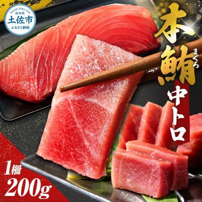 ふるさと納税 土佐市 本マグロ 中トロ 200g 柵 お刺身やマグロ丼にも!