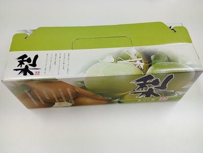 【先行予約】井上農園 梨 ”二十世紀梨” 3玉入り（約1kg）｜鳥取 岩美 梨 なし ナシ【41031】