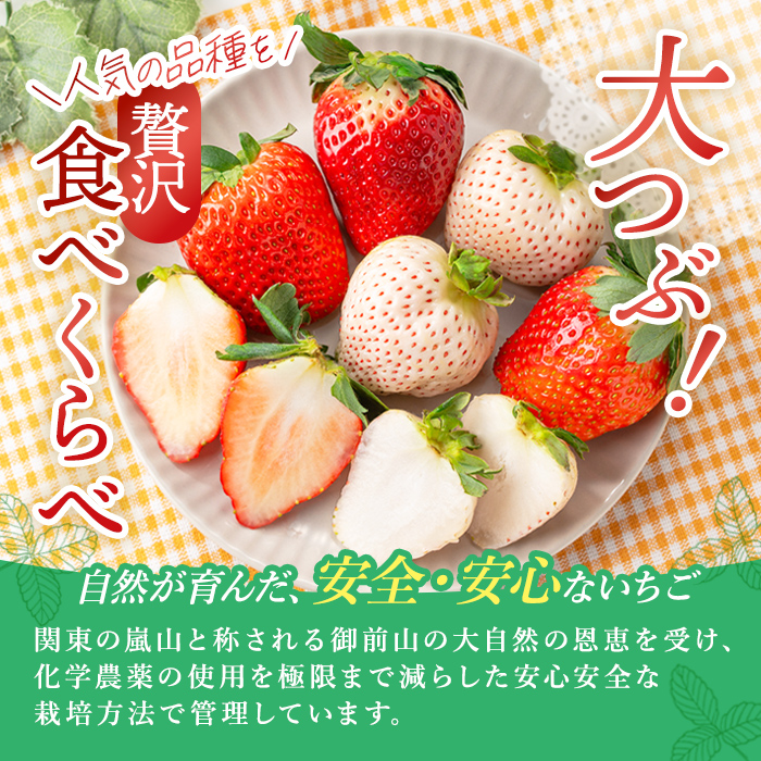 ＜先行予約受付中！2027年1月中旬以降順次発送予定＞ 大粒いちごセット 280g×2パック イチゴ 苺フルーツ 果物 くだもの デザート 期間限定 先行予約 【つづく農園】【ho1573】