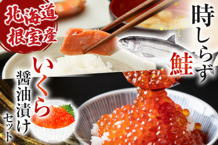 【北海道根室産】時しらず鮭600g×1P・いくら醤油漬け50g×2P B-42106