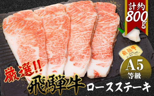 店主こだわり雌牛 飛騨牛A5等級　ロースステーキ　計約800g [No.086] ／ 牛肉 ブランド牛 メス牛 冷凍 岐阜県 特産