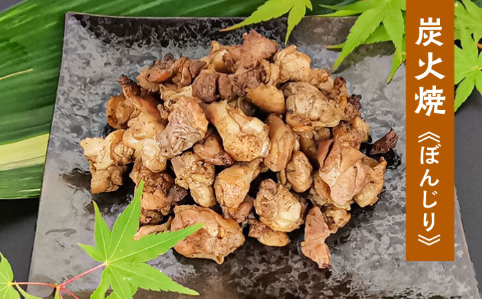 鶏の煮込み『もみじ』と炭火焼 (計9パック)｢鳥市｣　日田市 / 株式会社HK企画 鶏炭火 鶏肉 おつまみ [ARDG002]