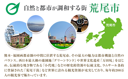 クーポン 地域限定旅行クーポン【300,000円分】日本旅行 《寄付翌日を目途に付与いたします》 熊本県 荒尾市 旅行 トラベル 熊本 旅行券 チケット 観光 クーポン 紙券