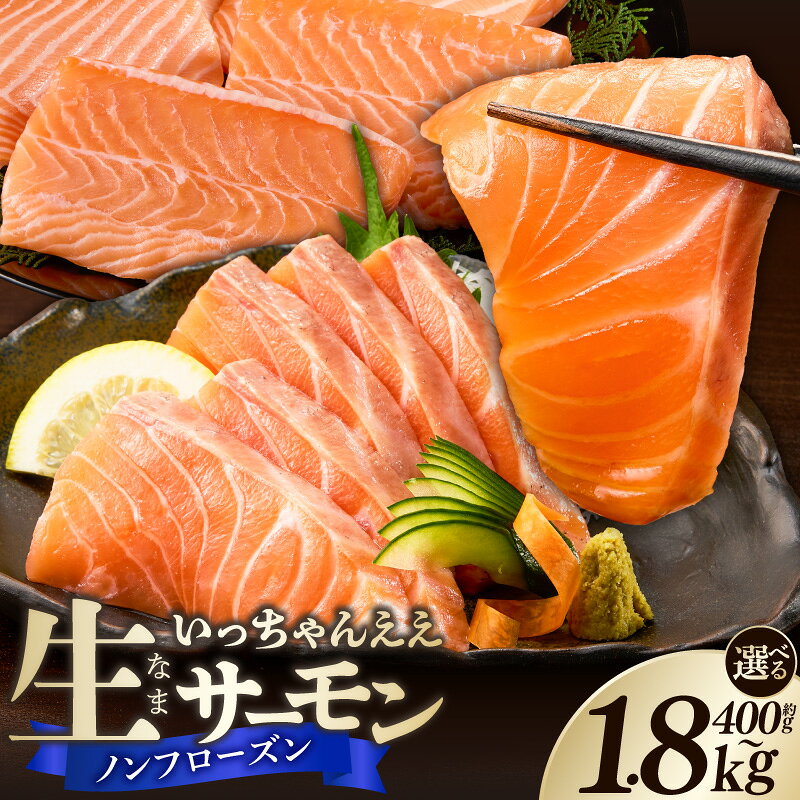 【ふるさと納税】生サーモン ノンフローズン 選べる 内容量 約 400g 1kg 1.8kg アトランティックサーモン 鮭 手作業 ノルウェー産 刺身 寿司 丼 サラダ 魚 海鮮 グルメ 冷蔵 お取り寄せ 和歌山県 湯浅町 送料無料