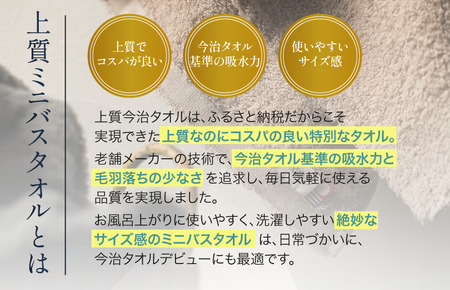 （今治タオルブランド認定） 上質ミニバスタオル 4枚セット グレー [I003990MBTGY] 今治タオル 渡辺パイル織物 ふるさと納税 限定 バスタオル コンパクトバスタオル バスタオル 小さめ