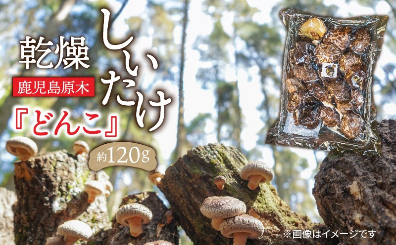 
                  鹿児島原木乾燥しいたけ『どんこ』 約120g　K205-002
                