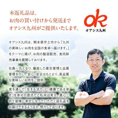 ふるさと納税 宇土市 熊本 馬刺し 霜降り300g |  | 03