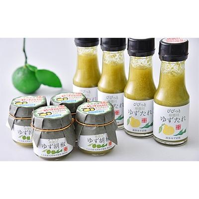 ふるさと納税 人吉市 人吉球磨産のゆず胡椒(40g)×4本とゆずたれ(75g)×4本セット