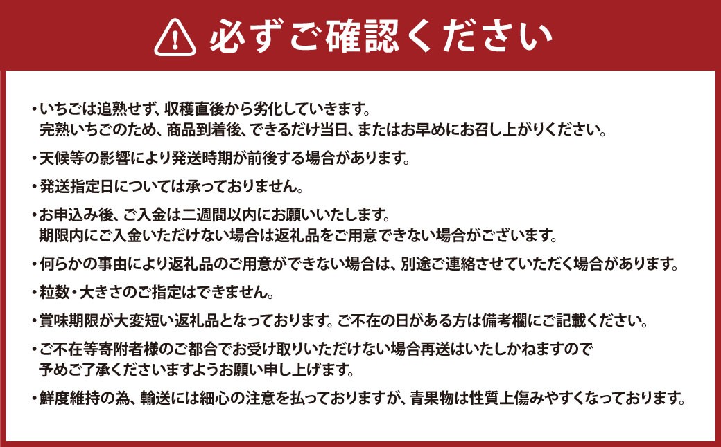【先行予約】 完熟 プレミアム いちご 「 グランベリー 」 品種： ほしうらら 2パック （約315g×2パック 計約630g） ／ 苺 イチゴ ストロベリー ベリー 果物 青果物 フルーツ ギフト