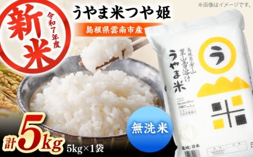 お米【無洗米】神話の里/吉田町「うやま米」つや姫 5kg（5kg×1）無洗米 精米 コメ おこめ お米 つやひめ おすすめ 人気 米 ごはん ご飯 食卓 主食 ブランド米 お取り寄せ グルメ ご当地米 家族 ファミリー 一人暮らし 便利 5キロ おいしい ごはんソムリエ 種もみ ミネラル 国産 新生活 お弁当 朝ごはん 朝食 昼食 ご当地 島根県雲南市/有限会社藤本米穀店 [AIDB092]
