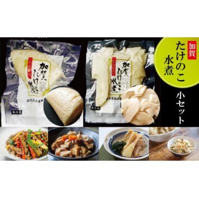 ふるさと納税 小松市 加賀たけのこ水煮 小セット(ホール スライス) 筍水煮 真空包装