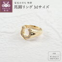 【ふるさと納税】 リング 指輪 ジュエリー レディース アクセサリー ダイヤモンド 0.26ct K18 イエローゴールド 馬蹄 Mサイズ ラッキーモチーフ 人気 シンプル ギフト プレゼント ジュエリーケース付 鑑別書付 保証書付 k276-023