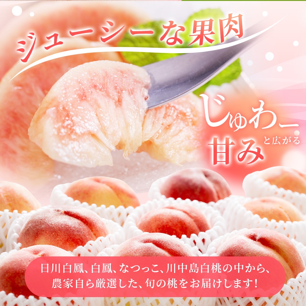 【先行予約】【厳選】あふれる果汁で口いっぱい！ 和歌山県産 桃 約2kg（6個~9個） 2025年6月末頃～2025年8月末頃に順次発送予定（お届け日指定不可）/ 和歌山 桃 モモ フルーツ もも 白桃 果物 くだもの【kgr001】