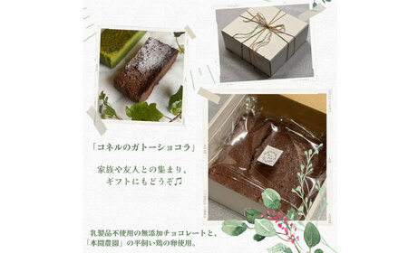 こだわりの厳選材料！コネルのガトーショコラ / ガトーショコラ ガトーショコラ ガトーショコラ ガトーショコラ ガトーショコラ ガトーショコラ ガトーショコラ / 佐賀県 / パンと器のコネル [41AJAB001]