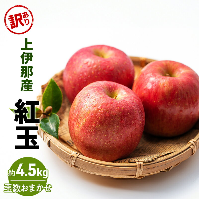 【ふるさと納税】訳あり 紅玉4.5kg(玉数おまかせ)　お届け：2025年9月下旬～10月中旬まで