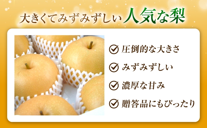 梨 なし フルーツ 果物 くだもの 食品 人気 おすすめ 季節のフルーツ あきづき ナシ 新高 豊水 幸水 掛け合わせ 濃縮
