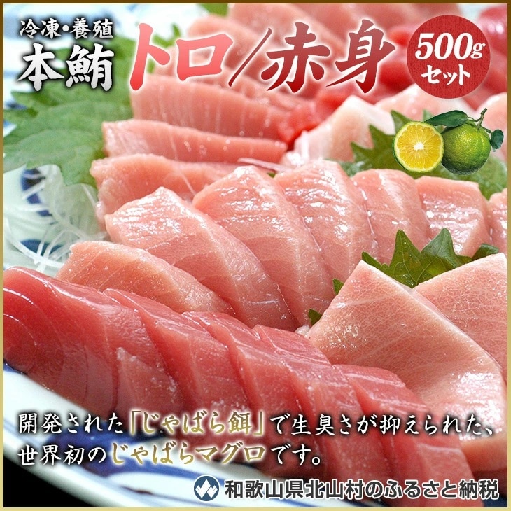 【串本町×北山村】本マグロ（養殖）トロ＆赤身セット500g 【1ヶ月以内に発送】 まぐろ マグロ 鮪 中トロ 赤身 柵【nks110】