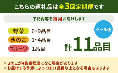 【毎月コース】野菜 キノコ 果物 11品目 詰め合わせ 3回定期便 / やさい定期便 野菜定期便 野菜セット やさいセット 春野菜 夏野菜 秋野菜 冬野菜 / 南島原市 / 吉岡青果[SCZ022]
