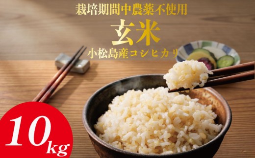 【栽培期間中農薬不使用】玄米 10kg コシヒカリ 令和7年産 米 こめ ご飯 ごはん おにぎり 卵かけご飯 白米  食品 備蓄 備蓄米 保存 防災 ギフト 贈答 プレゼント お取り寄せ グルメ 送料無料 徳島県
