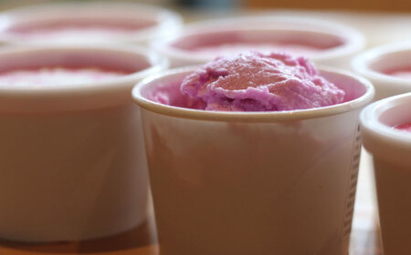 【全6回定期便】沼南ミルクジェラート 赤しそ ６個　アイス  赤しそ  アイス アイスクリーム デザート スイーツ ご当地 広島県福山市/甚ごろう[BAEC040]