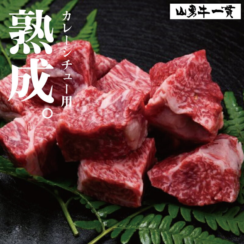【ふるさと納税】飛騨牛 『山勇牛』すね肉等 カレーシチュー用 600g 角切り牛肉　30日以上熟成/A4・A5ランク飛騨牛 熟成肉 牛肉 和牛 肉 カレー用　シチュー用　角切り　煮込み用［B0061］2万円 20000円 飛騨市