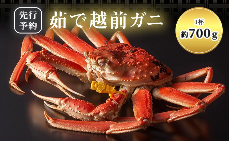 かに 期間限定 茹で 越前がに 約700g以上 1杯 ずわい蟹 ボイルカニ ボイル 魚介類