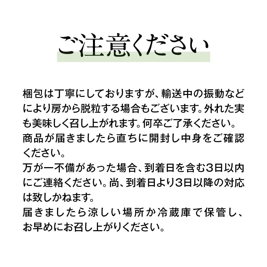 《 2026年 収穫分 》 シャインマスカット 1.5kg 2～4房 (桜川市・石岡市共通返礼品) 先行予約 石田ぶどう園 国産 茨城県 桜川市 マスカット ぶどう ブドウ 葡萄 果物 くだもの フル