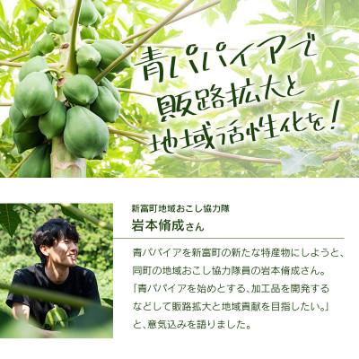 ふるさと納税 新富町 青パパイアを贅沢に使用した新しいお茶『パパイア果実茶』(ティーバッグ20P×3個) |  | 02