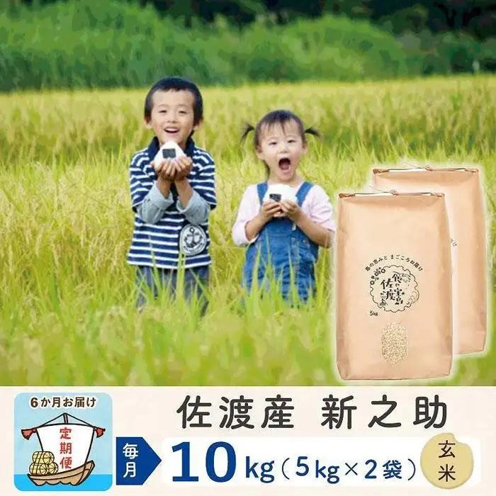【定期便 6回 玄米】白米 10kg 計60キロ | 新之助 新潟県 佐渡市