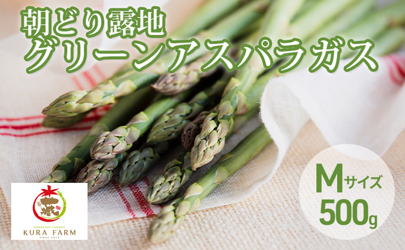 【2026年5月より発送】北海道 富良野市産 アスパラ 緑 (Mサイズ) 約500g 朝どり 露地 グリーン アスパラガス 詰め合わせ 野菜 新鮮 数量限定 先着順【藏ファーム】