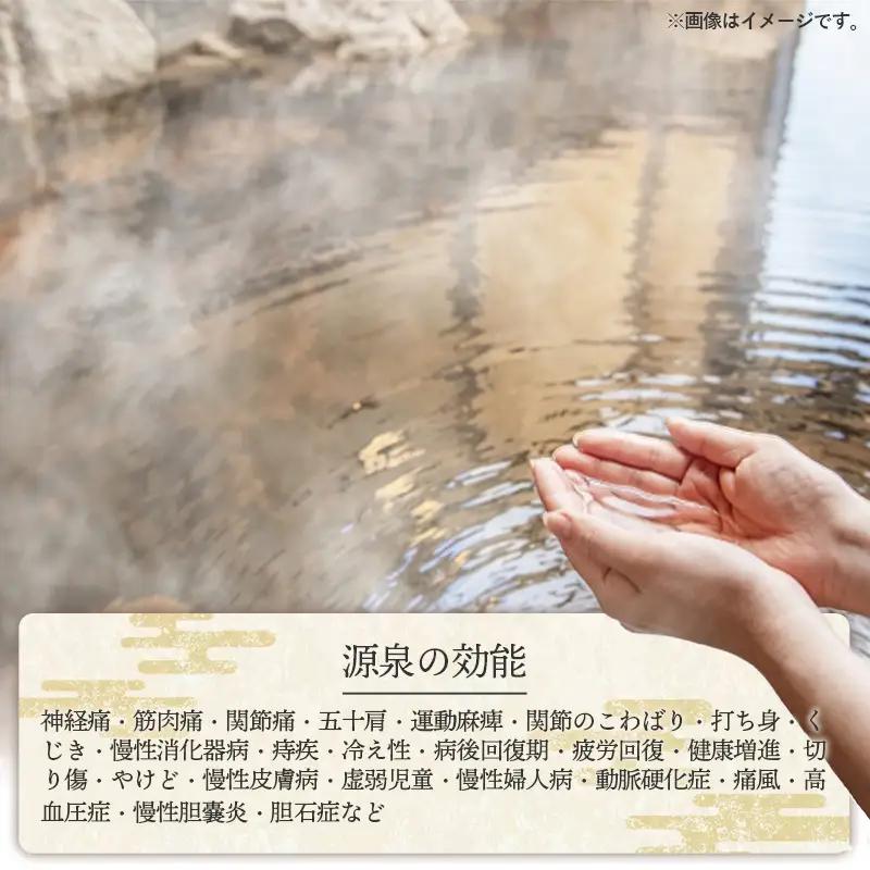 湯田山荘 入浴回数券 12枚綴り×2セット【入浴券 温泉 チケット 100% 天然鉱泉 くつろぎ 癒し リフレッシュ ご褒美 贅沢 旅行 立ち寄り湯 温泉宿 島根県 安来市】【44-ED-02】