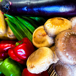 【6回定期便】 こだわりの新鮮野菜セット 8~11品目 | 野菜セット 新鮮 野菜 季節の野菜 おすすめ 高知県 南国市