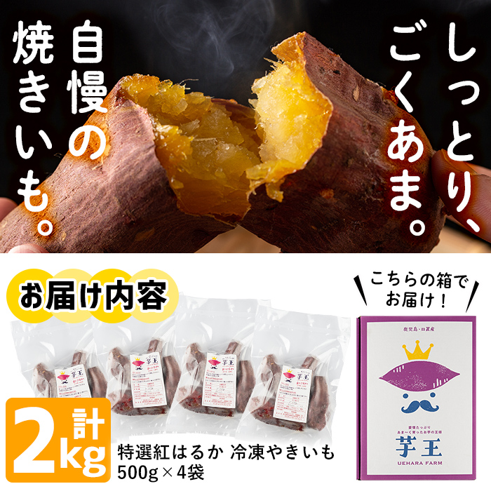 No.434 ＜先行予約受付中！＞鹿児島県産！特選紅はるか冷凍やきいも(500g×4袋・計2kg) 栽培期間中農薬不使用 数量限定 いも 芋 さつまいも 焼き芋 スイーツ ギフト 贈答【上原農園】