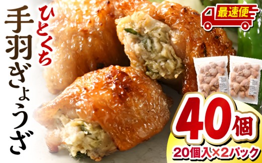 【最速便】ひとくち手羽ぎょうざ 計40個 20個入×2パック_M025-005-2W