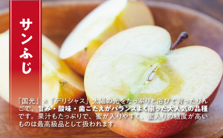 旬のりんご 【 定期便 】 訳あり 5kg × 2回 ヤマハチ農園 沖縄県への配送不可 2026年10月上旬頃から2026年12月下旬頃まで順次発送予定 令和8年度収穫分 BLOF理論栽培 傷 不揃い