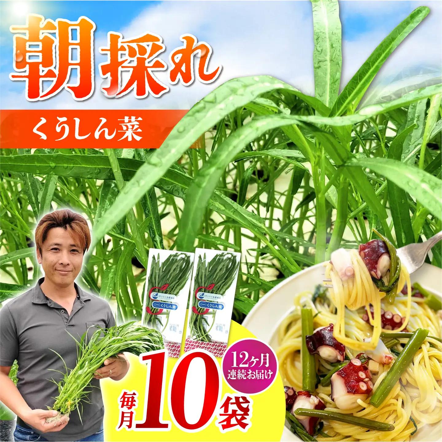 【12回定期便】新鮮朝採れ くうしん菜 10袋(計120袋) / 新鮮 野菜 葉物野菜 水耕栽培 産地直送 サラダ エンサイ ヨウサイ 国産 小分け 詰め合わせ まとめ買い 料理 / 亀山市 / グリーンハウス吉田[AMCD006]