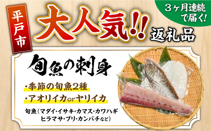【全3回定期便】 獲れたて 旬魚 の柵 3種 セット（ 刺身 2種＆ イカ 1種）（4～5人前）【平戸市/舘浦漁業協同組合】 [KAA518]
