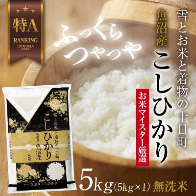 ふるさと納税 十日町市 無洗米 魚沼産 コシヒカリ 5kg (お米の美味しい炊き方ガイド付き)