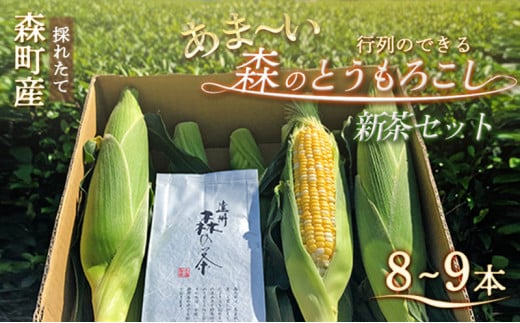 とうもろこし 新茶 セット 詰め合わせ しんちゃん農園の甘～い森のとうもろこし 8～9本 緑茶 1パック 野菜 トウモロコシ お茶 茶 日本茶 茶葉 静岡茶 煎茶 お茶っぱ 静岡 静岡県 森町　お届け：2025年6月上旬～7月中旬
